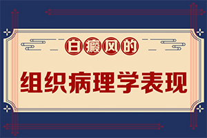 為什么會白殿風(fēng),導(dǎo)致的因素有哪些(白斑的因由是哪些)