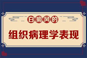 白殿病怎么形成,病因由來是哪些(因為什么患上)